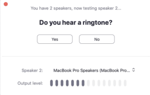 A tone will be played to test your audio