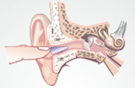 insert ear tips into your ear